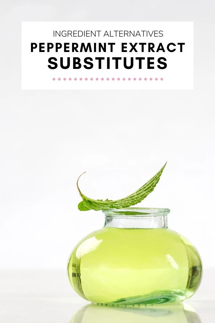 Best Homemade Peppermint Extract Substitute 2023 AtOnce