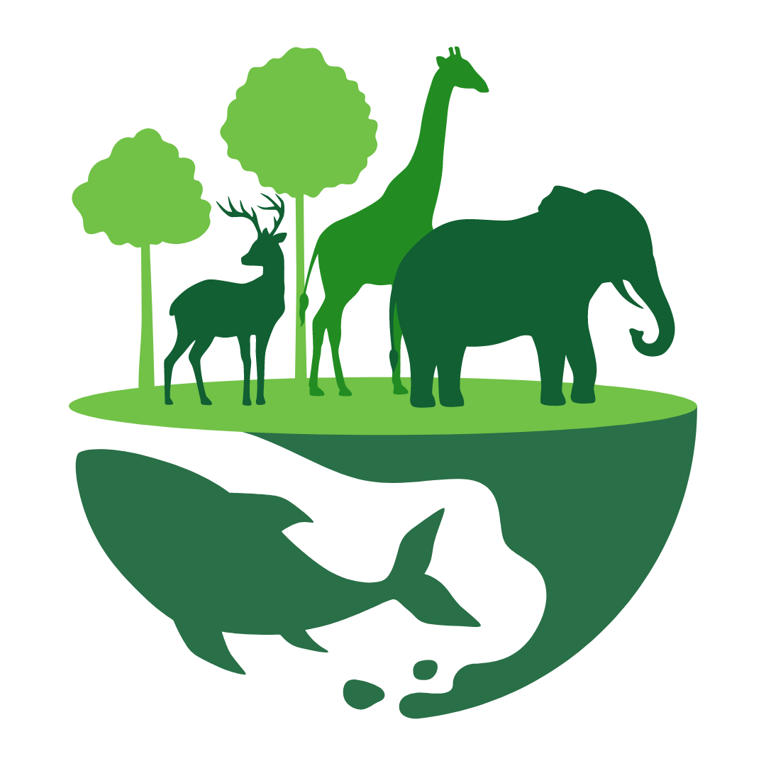 The Eco Company, Green Steps For Sustainability Tomorrow