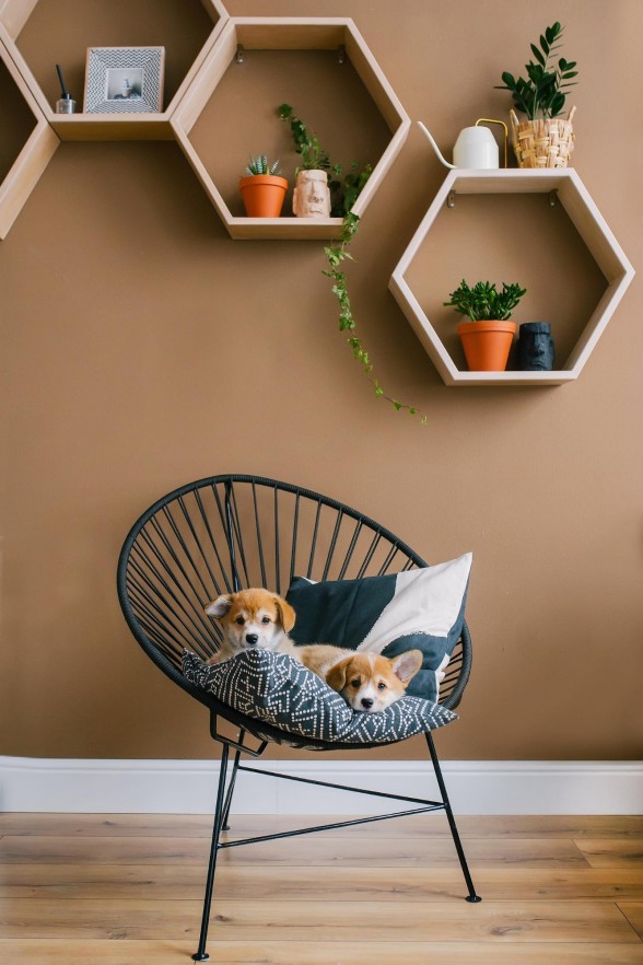 How To Dispose Of An Old Pillow at Philip Davis blog