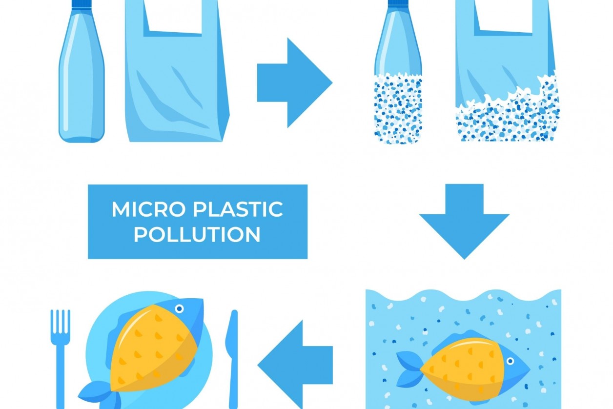 Do You Know How To Avoid Microplastics In Food? The Eco Hub