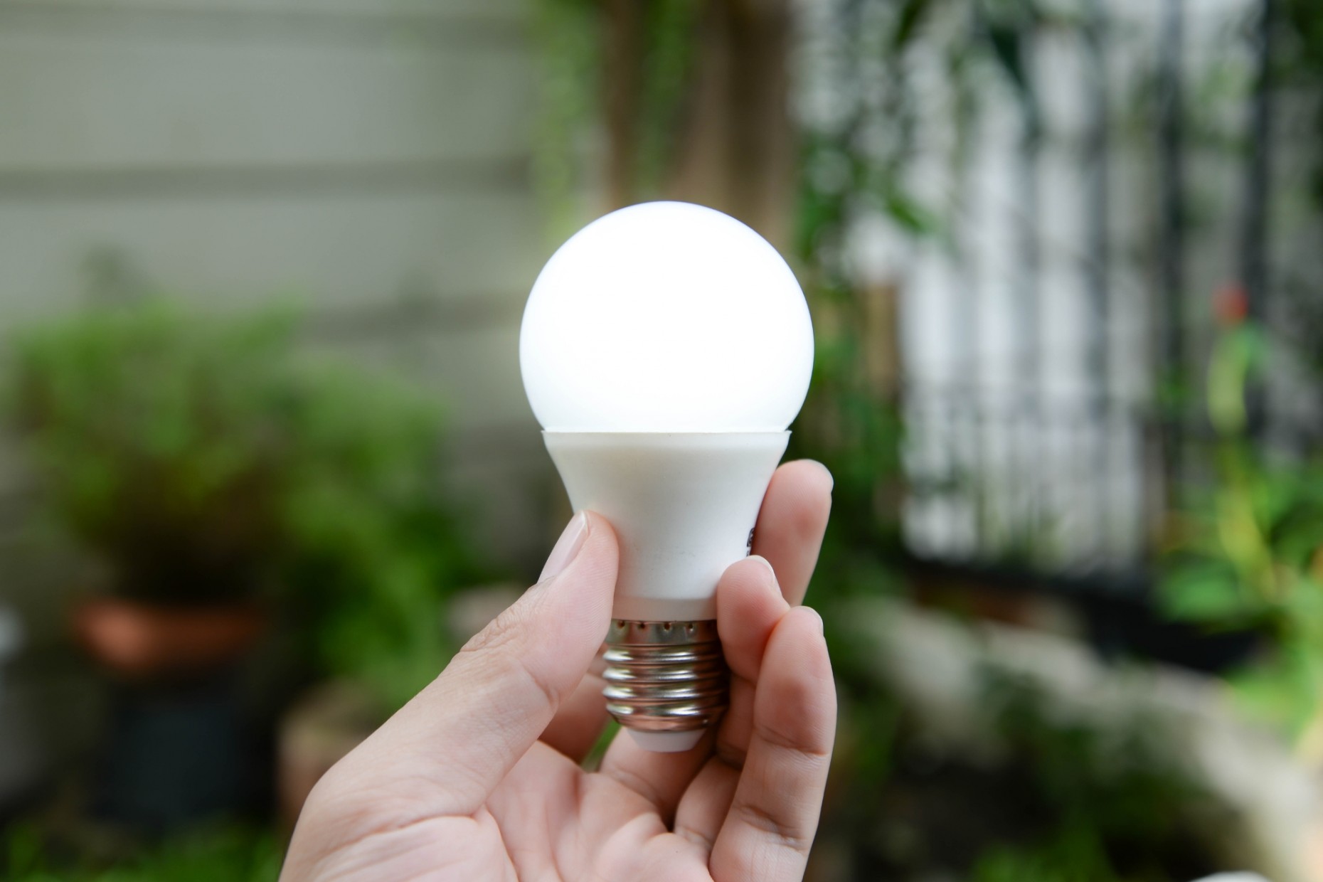 Can You Recycle Light Bulbs? A Comprehensive Guide The Eco Hub