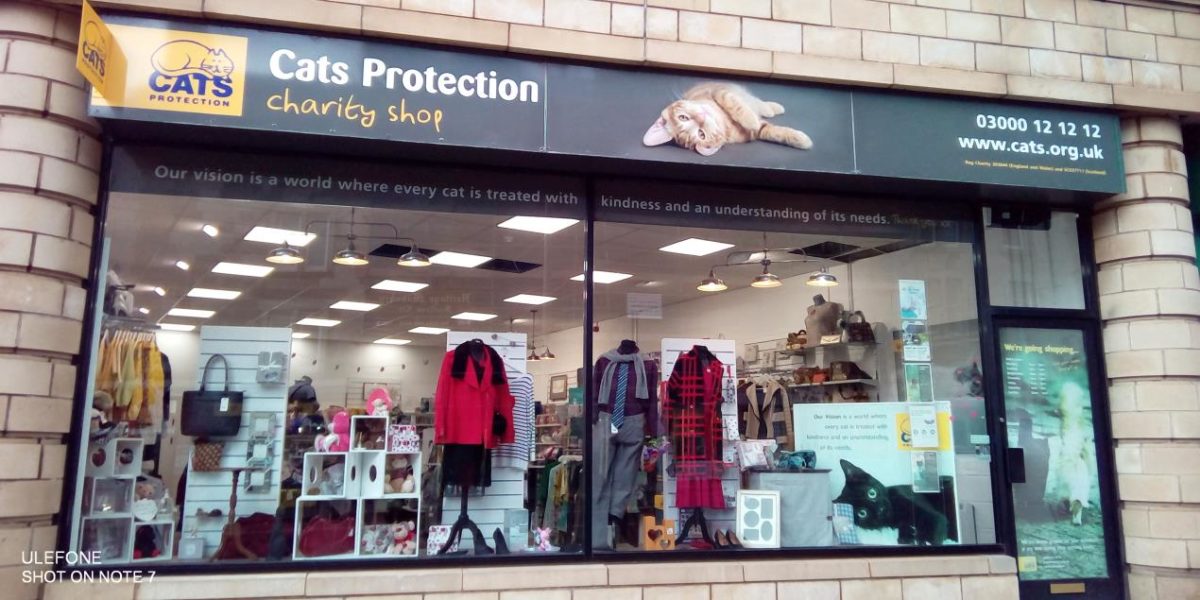 Cats Protection Charity Shops Will Reopen On Monday | The Edinburgh Reporter