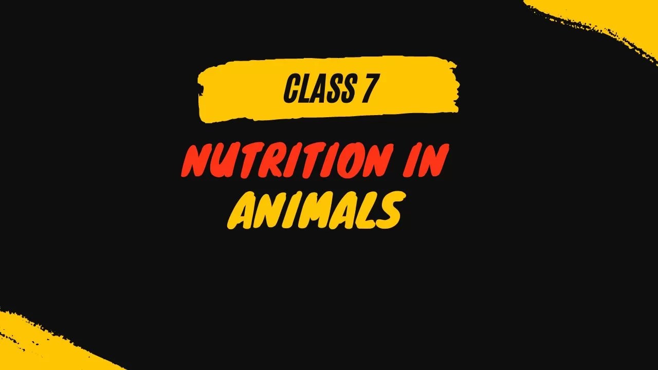 Fill in the blanks Nutrition in Animals Class 7 Question Answers