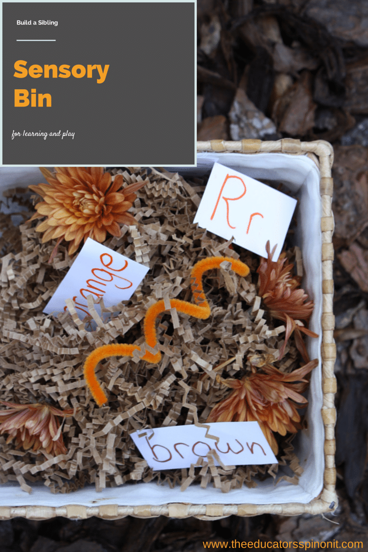 How to Make a Sensory Bin for Multiple Ages (sibling playful learning