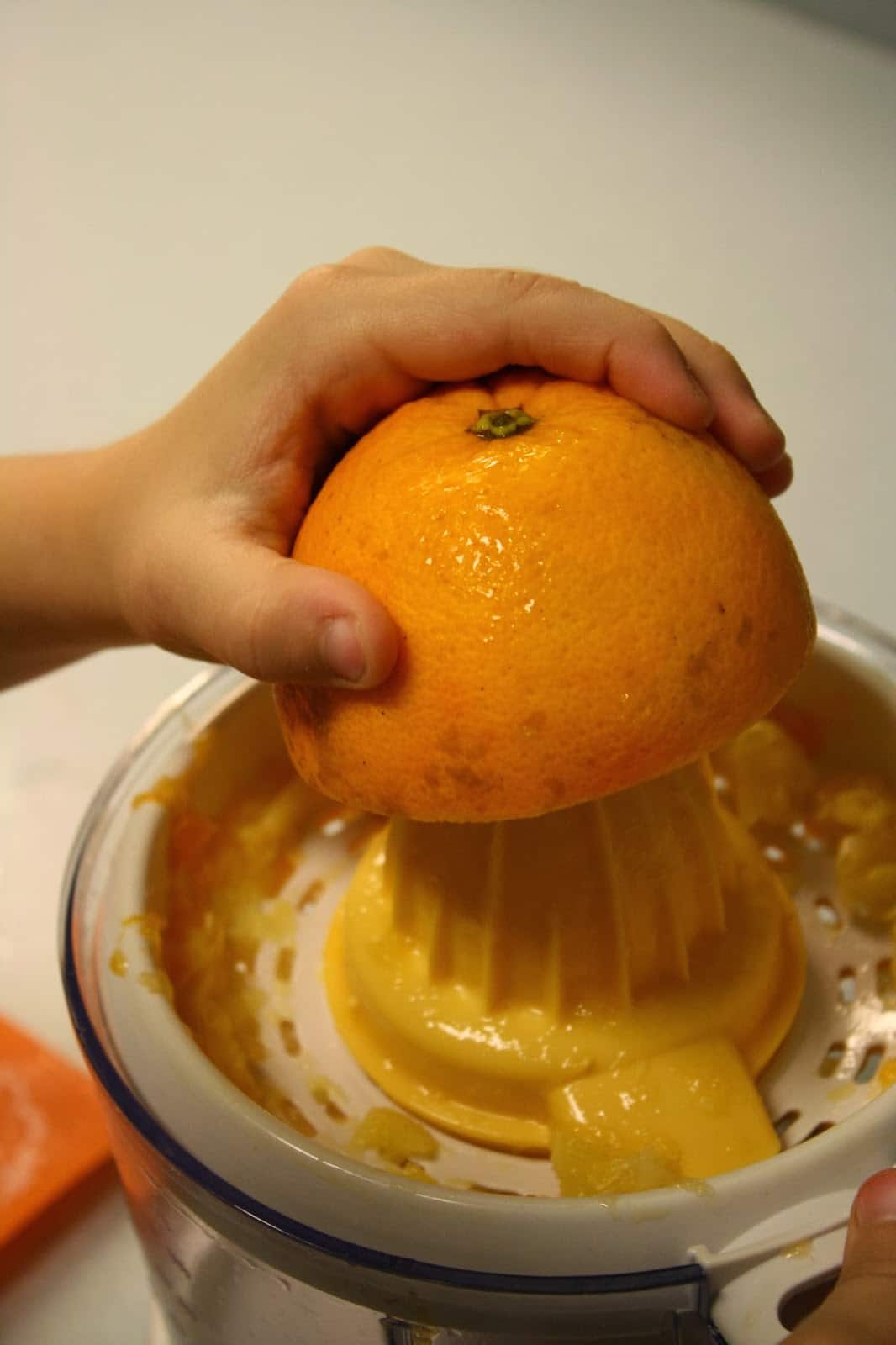 10 Things to Make with Oranges The Educators' Spin On It