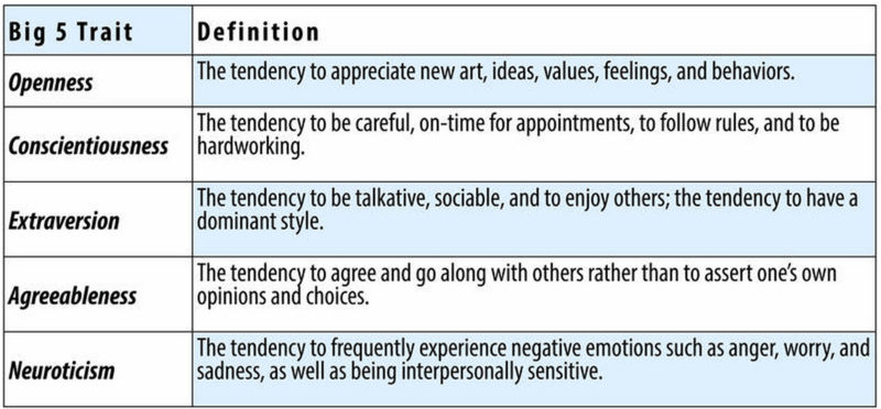 Neuroticism Negative Personality Trait, or Mental Illness? The