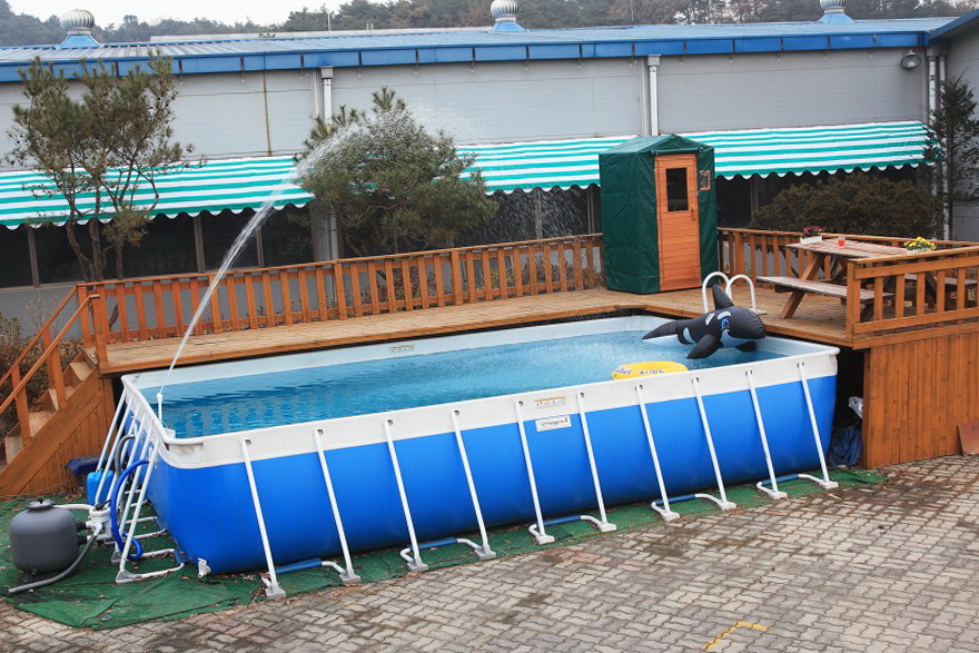 Backyard Pool Deck Ideas