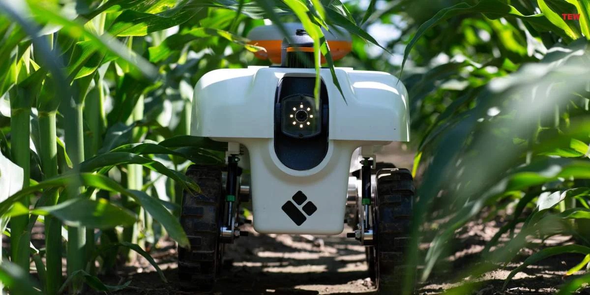 Top 5 Modern agriculture Technology The Enterprise World