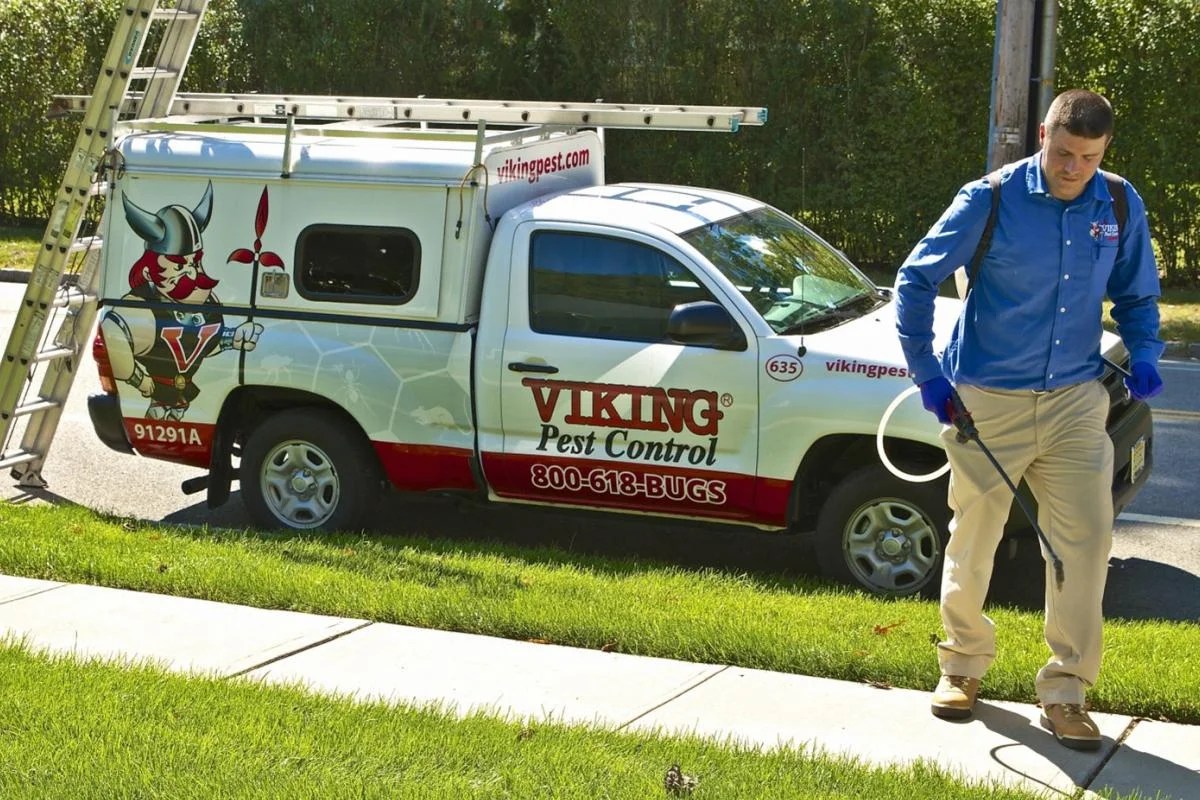 Top 10 Pest Control Services Keeping Your Home Pest Free The