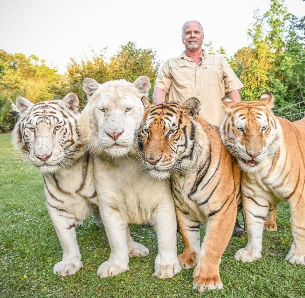 Tiger King's Doc Antle Convicted Of Wildlife Trafficking