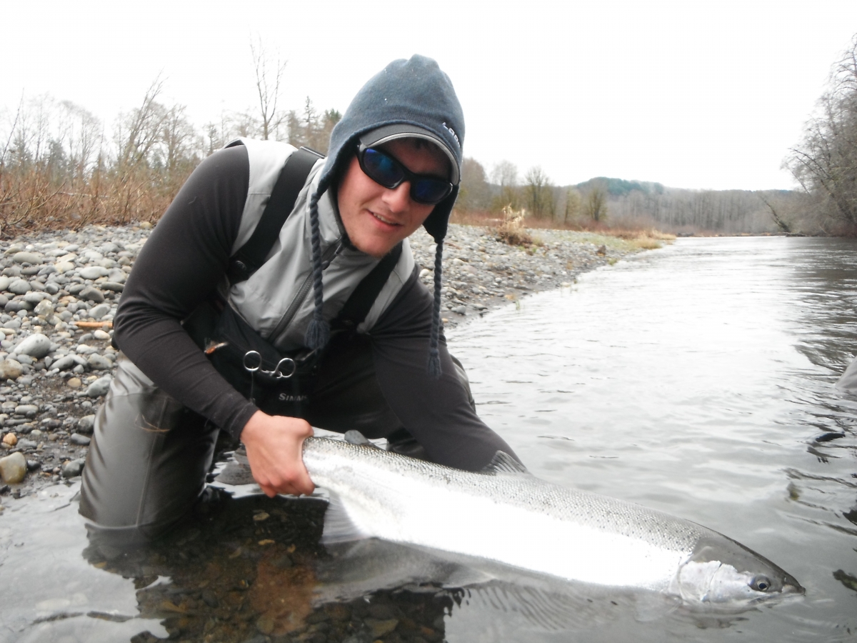 Olympic Peninsula Fishing The Quinault Cabin The Evening Hatch