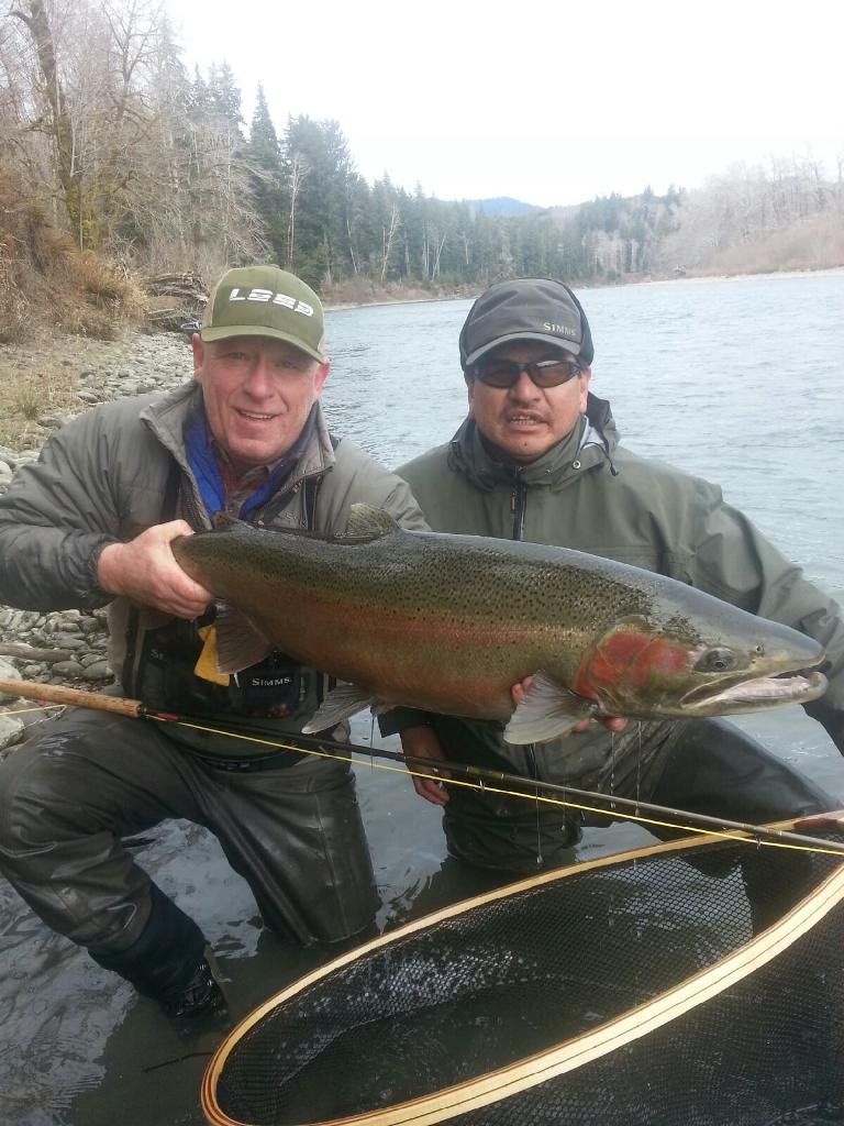 Lake Quinault Fishing / Multiple 20 Lb Steelhead Landed River Fishing