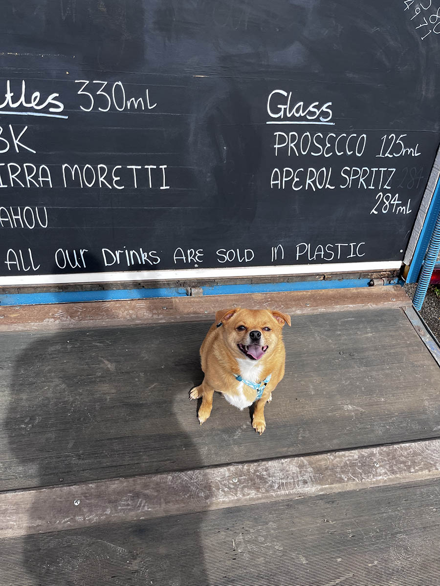 Wide Dog Bars The Event Company EA Ltd