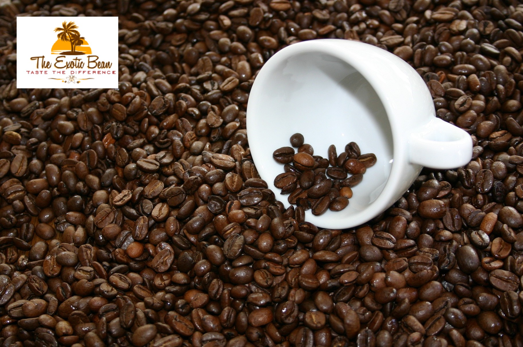 Buy Coffee Beans The Exotic Bean