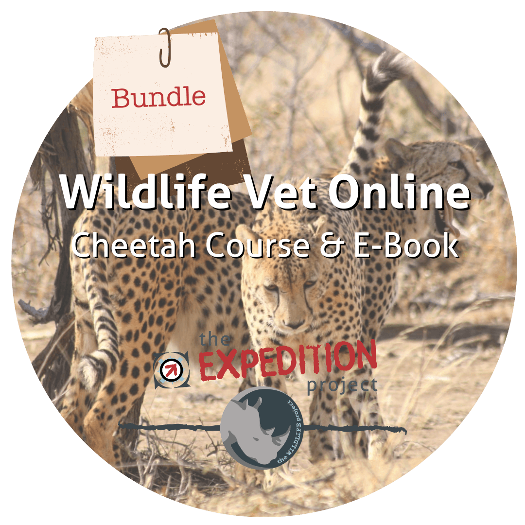 Cheetah Bundle (Wildlife Vet Online) The Expedition Project