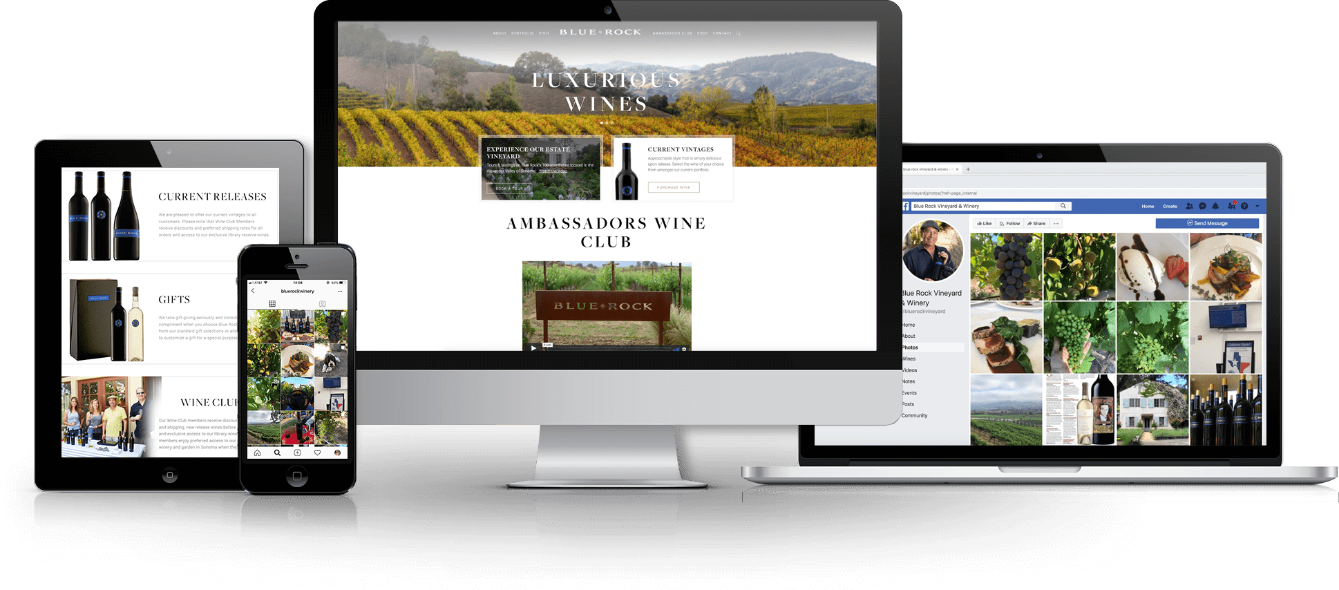 Blue Rock Vineyard The Experience Experts