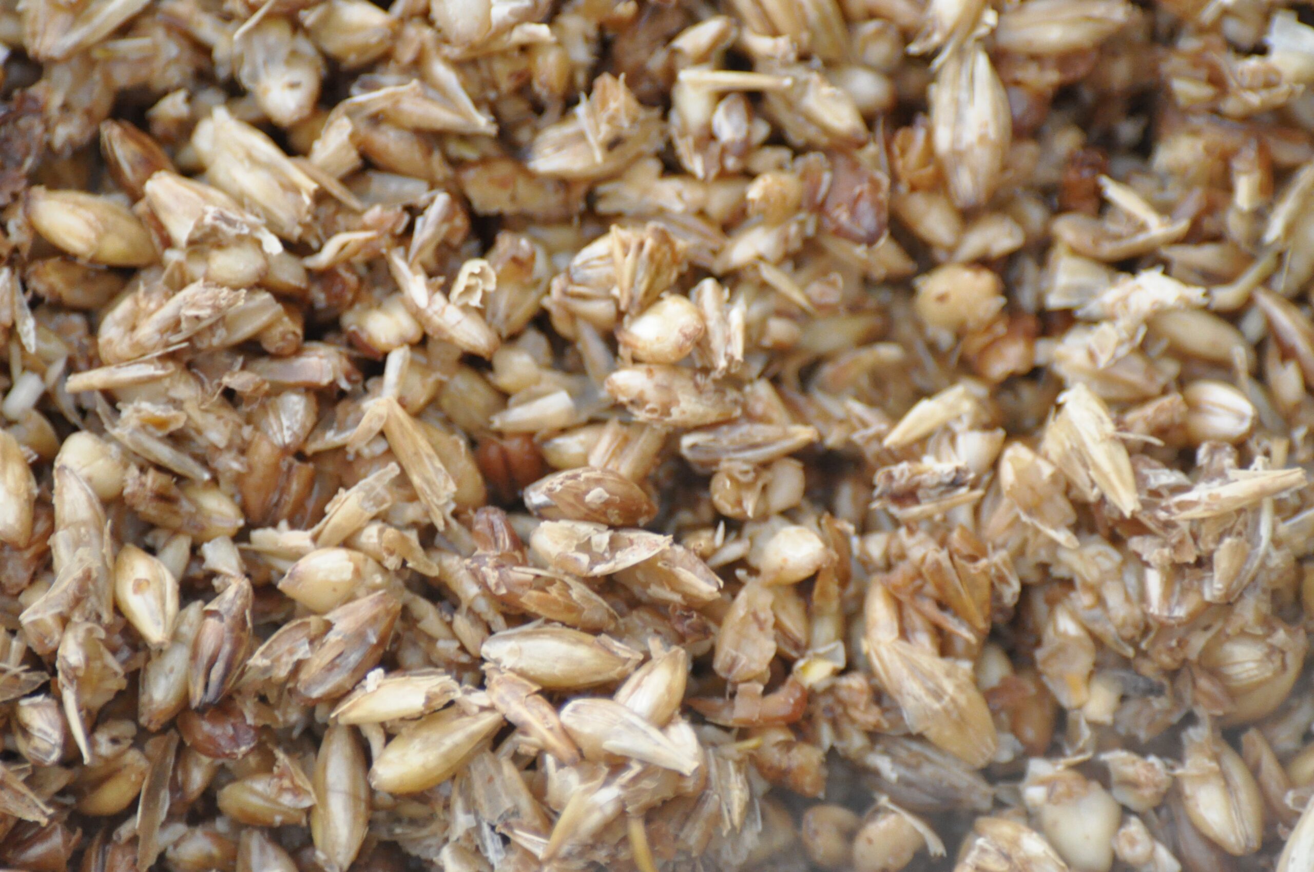 Spent brewer’s grain panel The Exploded View