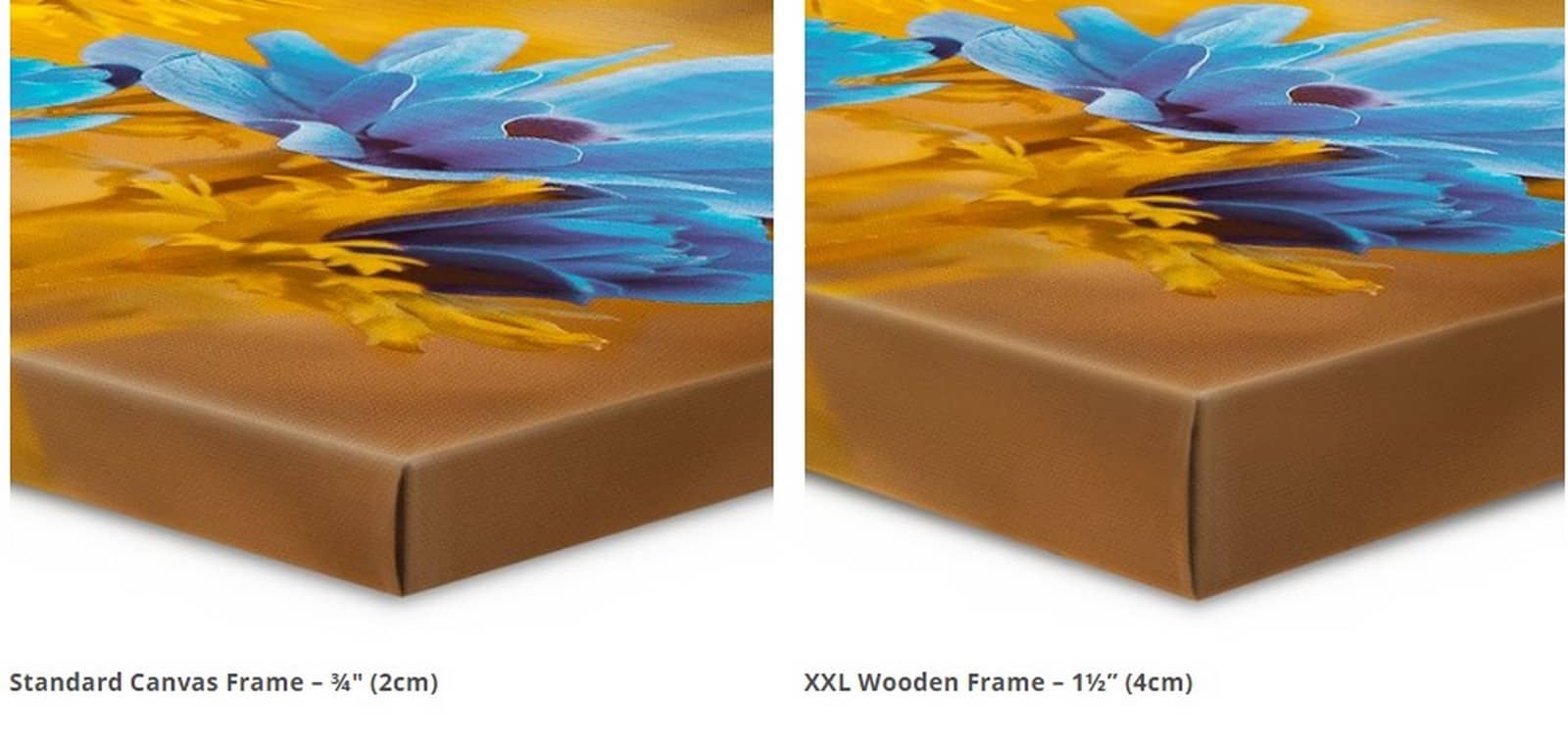 Best Canvas Canada Review creating Prints with BestCanvas.ca The