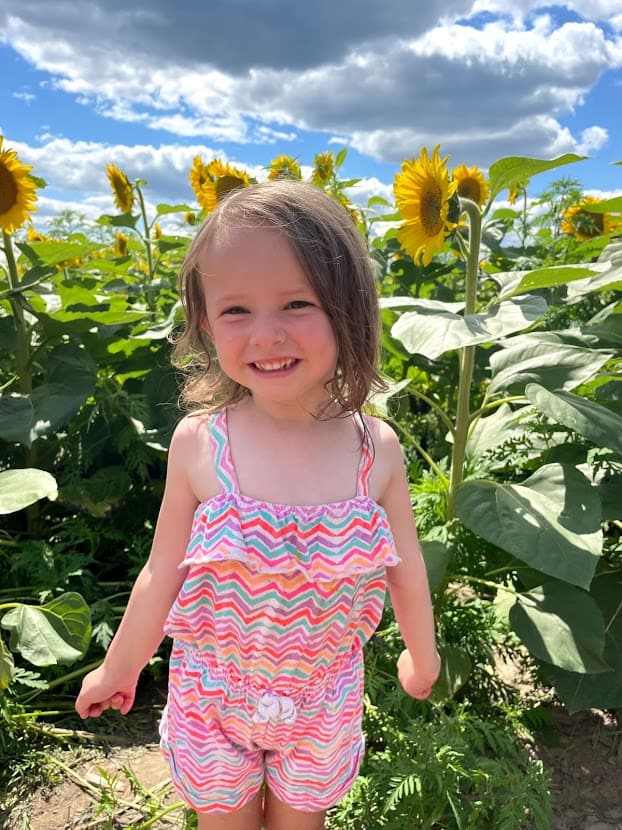 20+ Best Sunflower Fields and Mazes in Ontario To Visit The Exploring