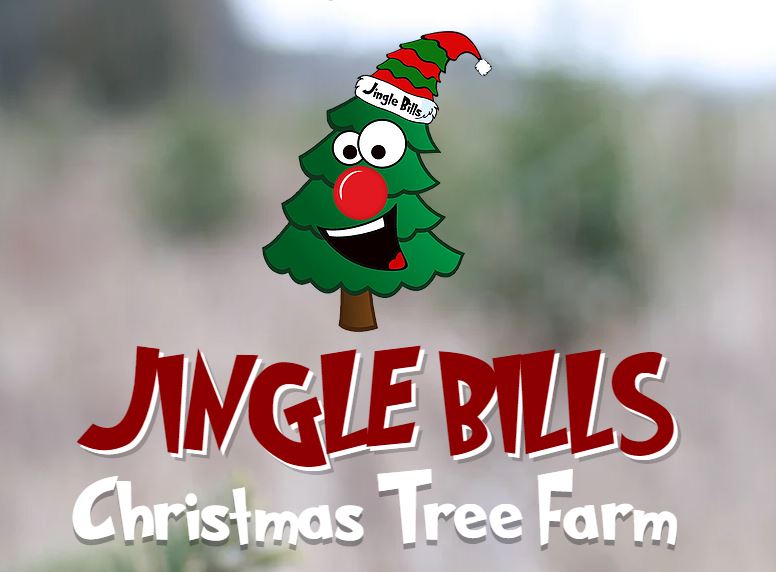 Christmas Tree Farms near Brampton and Mississauga (2023) The