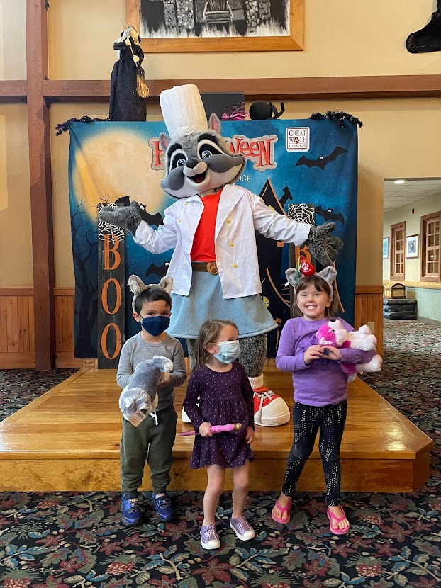 Is the Great Wolf Lodge Paw Pass Worth It? Great Wolf Lodge Niagara