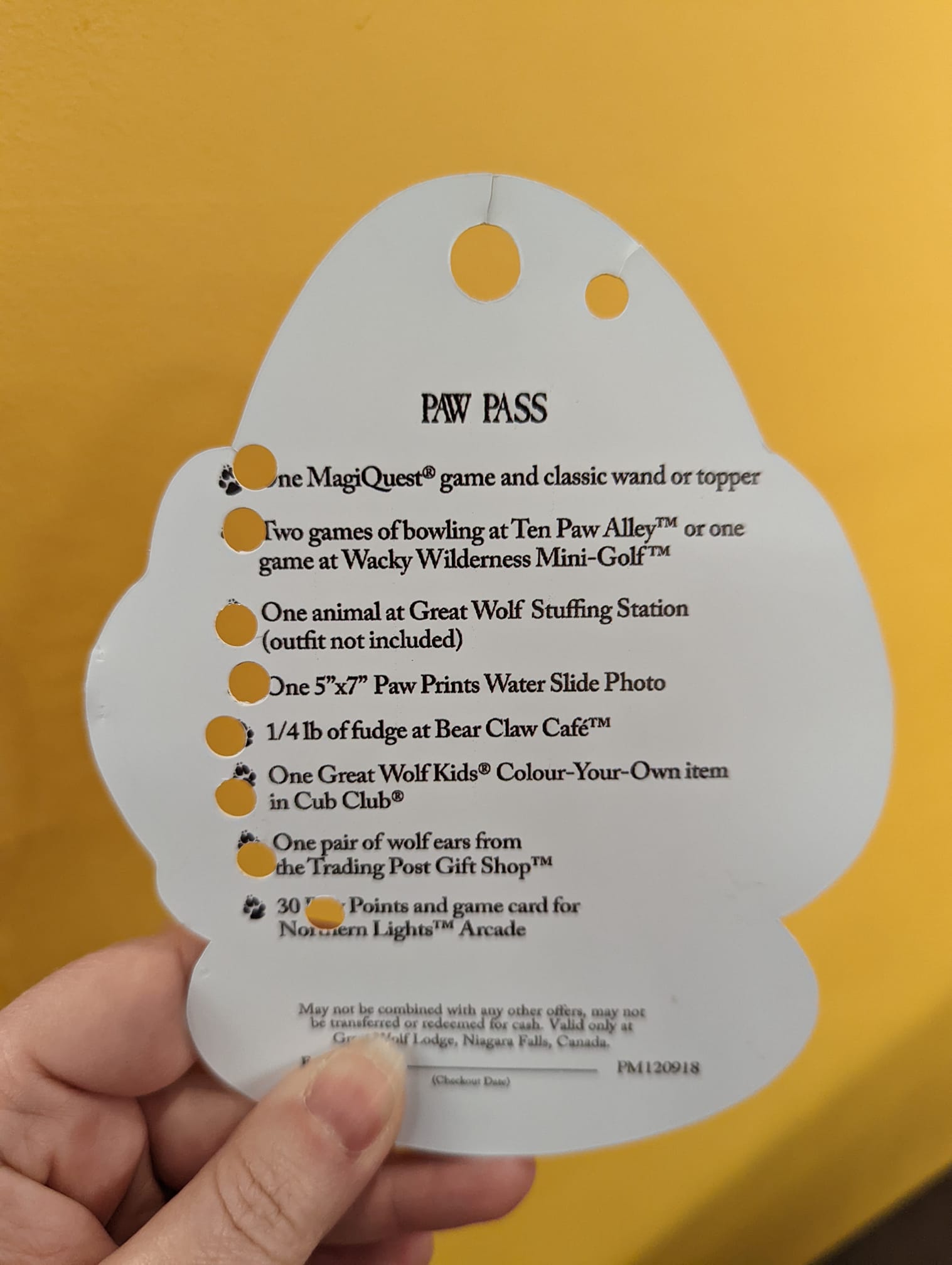 Is the Great Wolf Lodge Paw Pass Worth It? Great Wolf Lodge Niagara