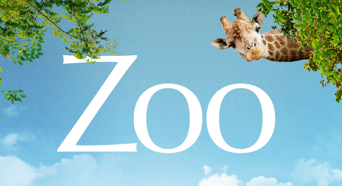 REVIEW Zoo