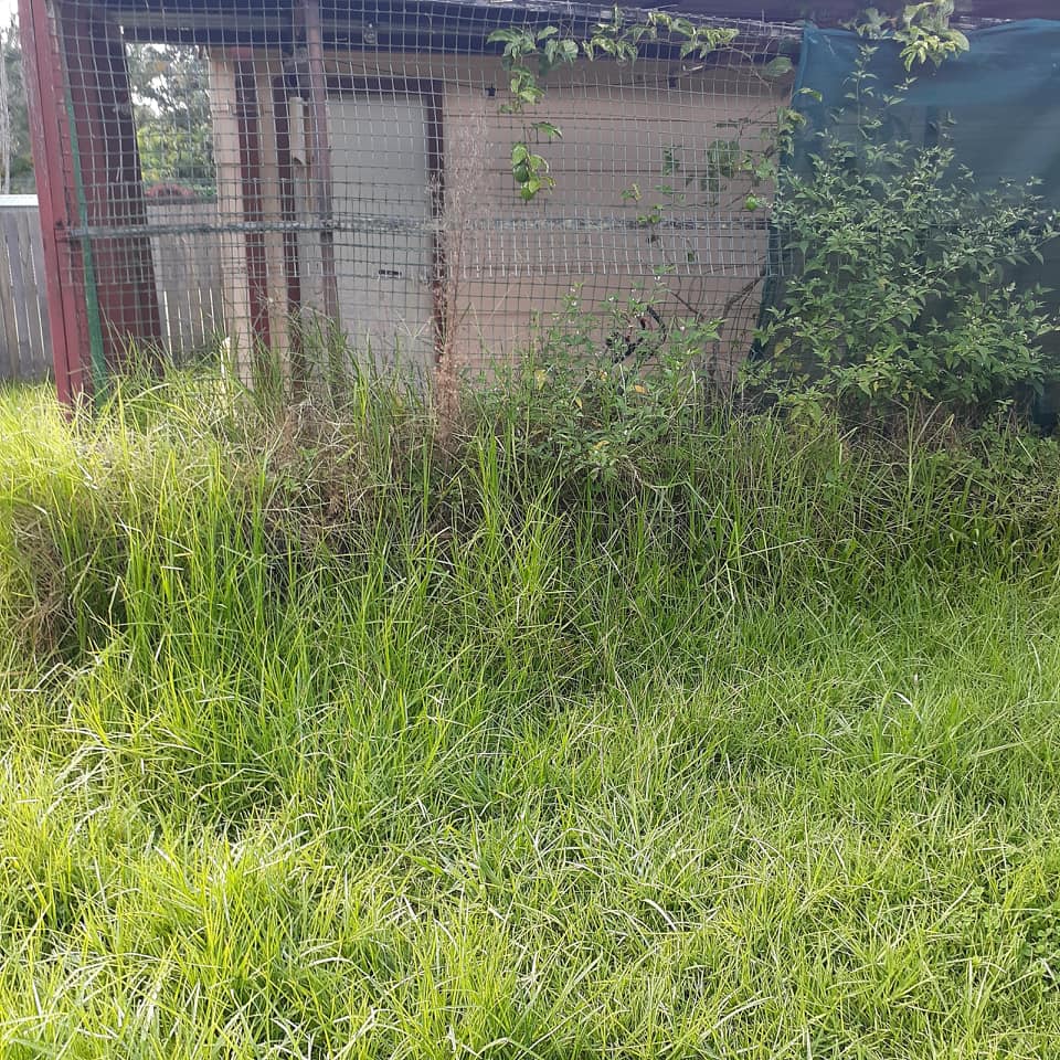 Lawn Mowing, Rubbish Removal and Garden Care Coffs Harbour