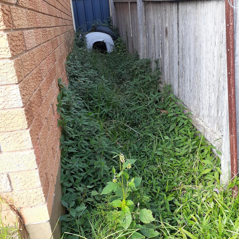 Lawn Mowing, Rubbish Removal and Garden Care Coffs Harbour