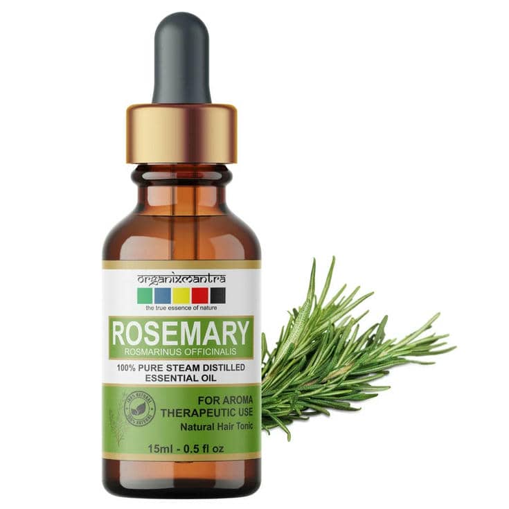 Rosemary Essential Oil Organic, Steam Distilled Essential Oil 15ML