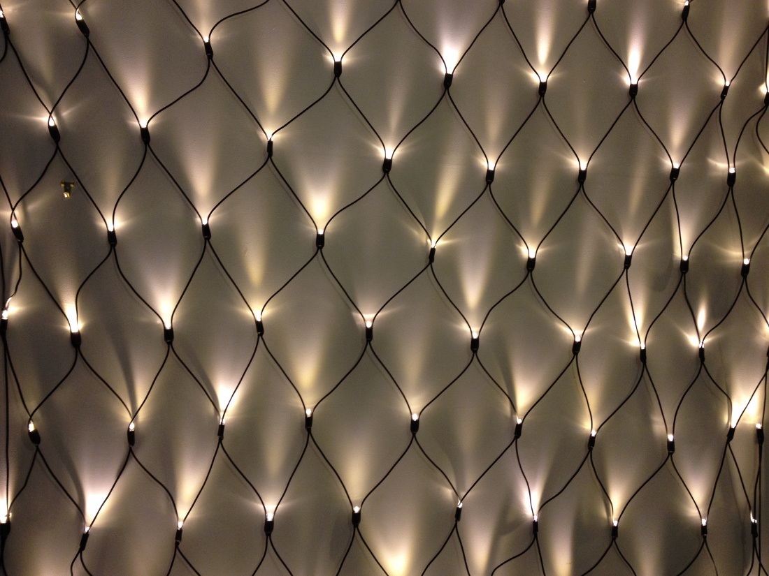 NET Lights on a black wire 1M x 2M warm white The Fairy Light Shop