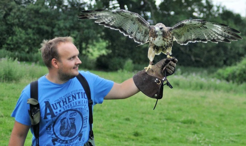 Falconry Beginners Tips