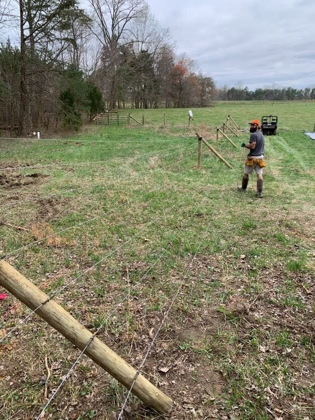 The best low cost methods to keep deer out of my garden!