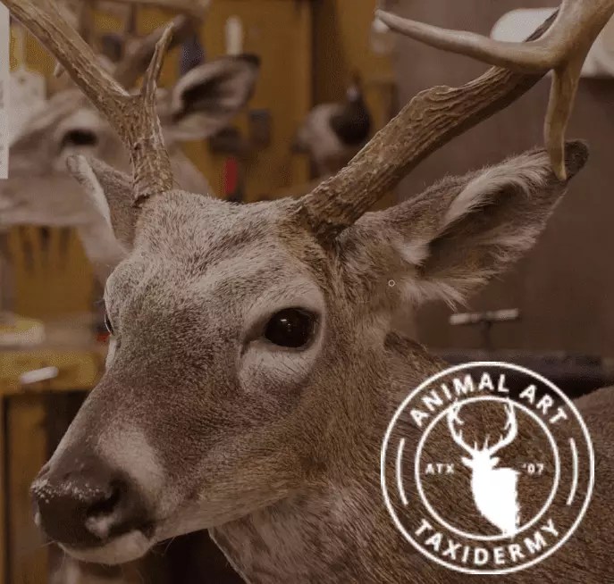 Sites We Like The Fat Rancher