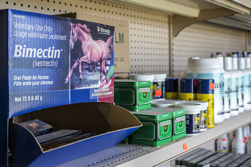 Horse Feed Harrow Ontario Equine Feed and Horse Tack