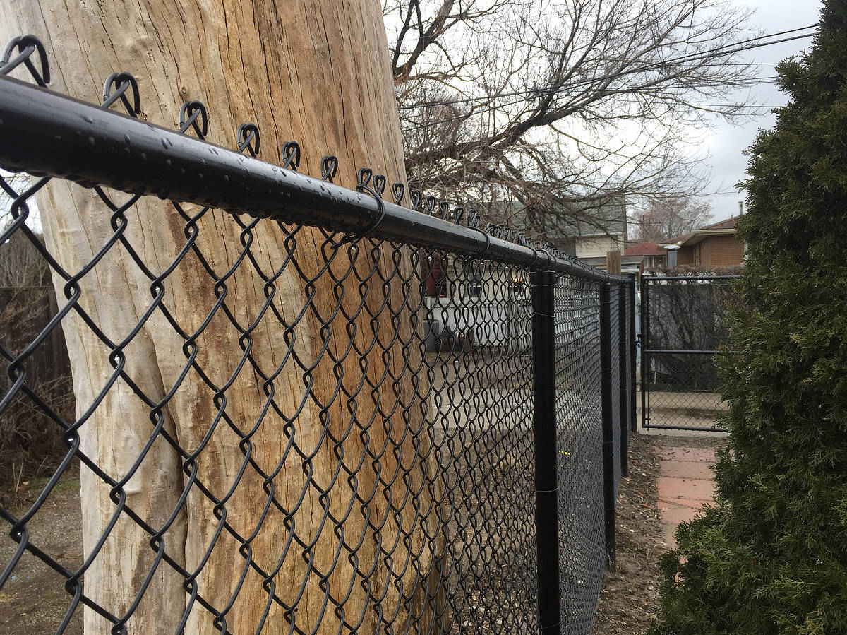 The Best 1 Chain Link Fence Installers in Hamilton Near You