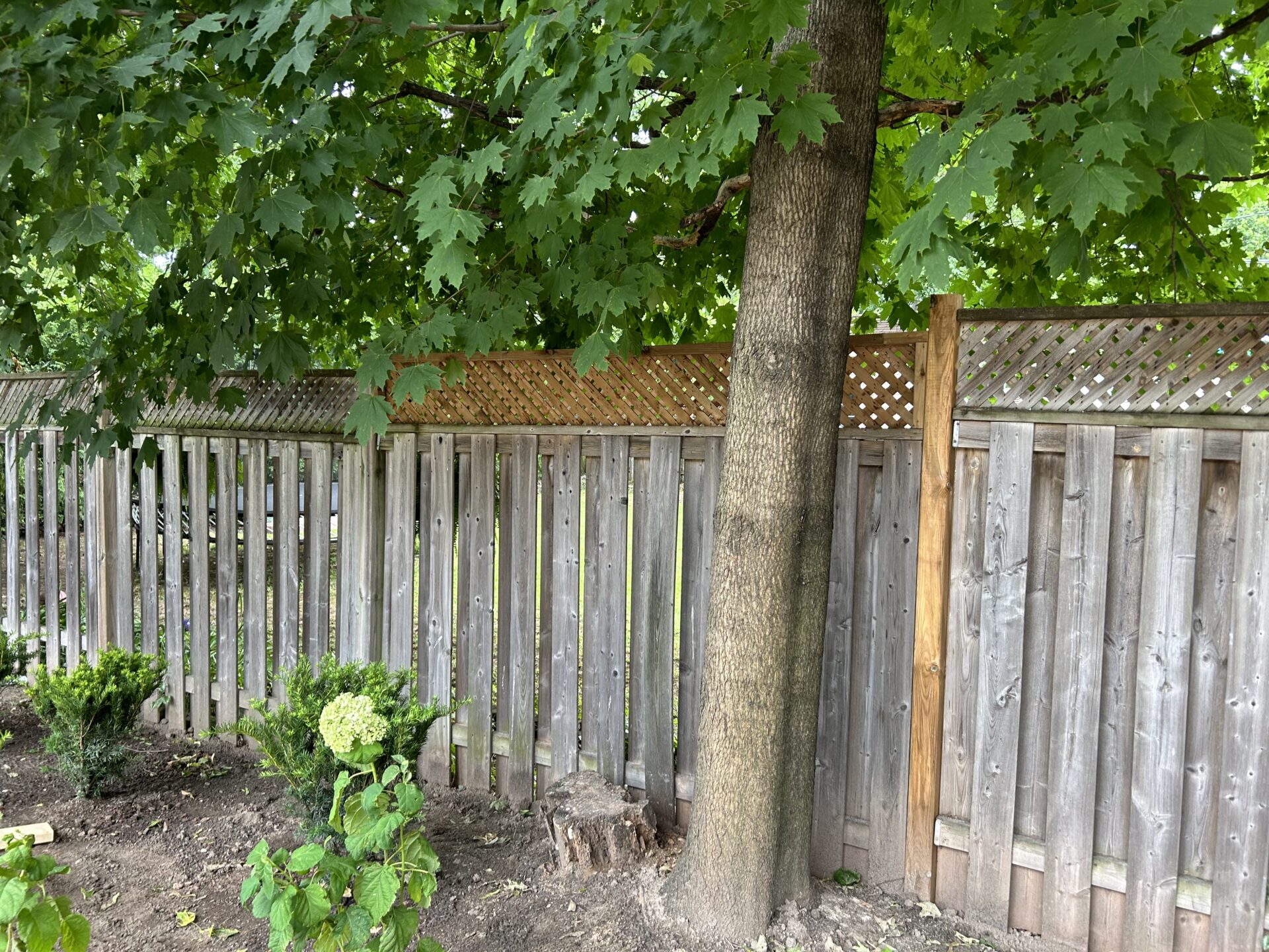The 1 Best Fence Post Repair Hamilton Near You