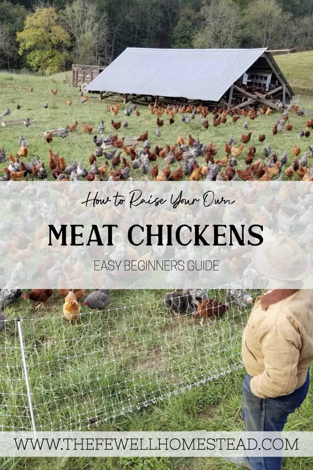 Easy Steps to Raising Meat Chickens Amy K. Fewell