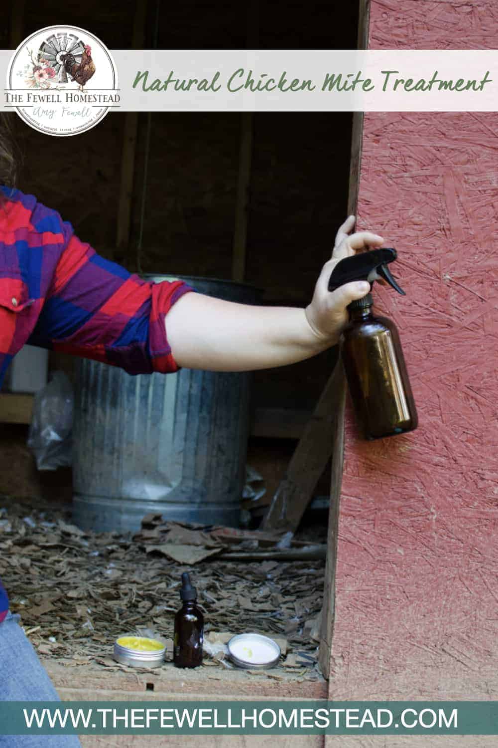 Naturally Treating Chicken Mites with Essential Oils and Garlic Amy K