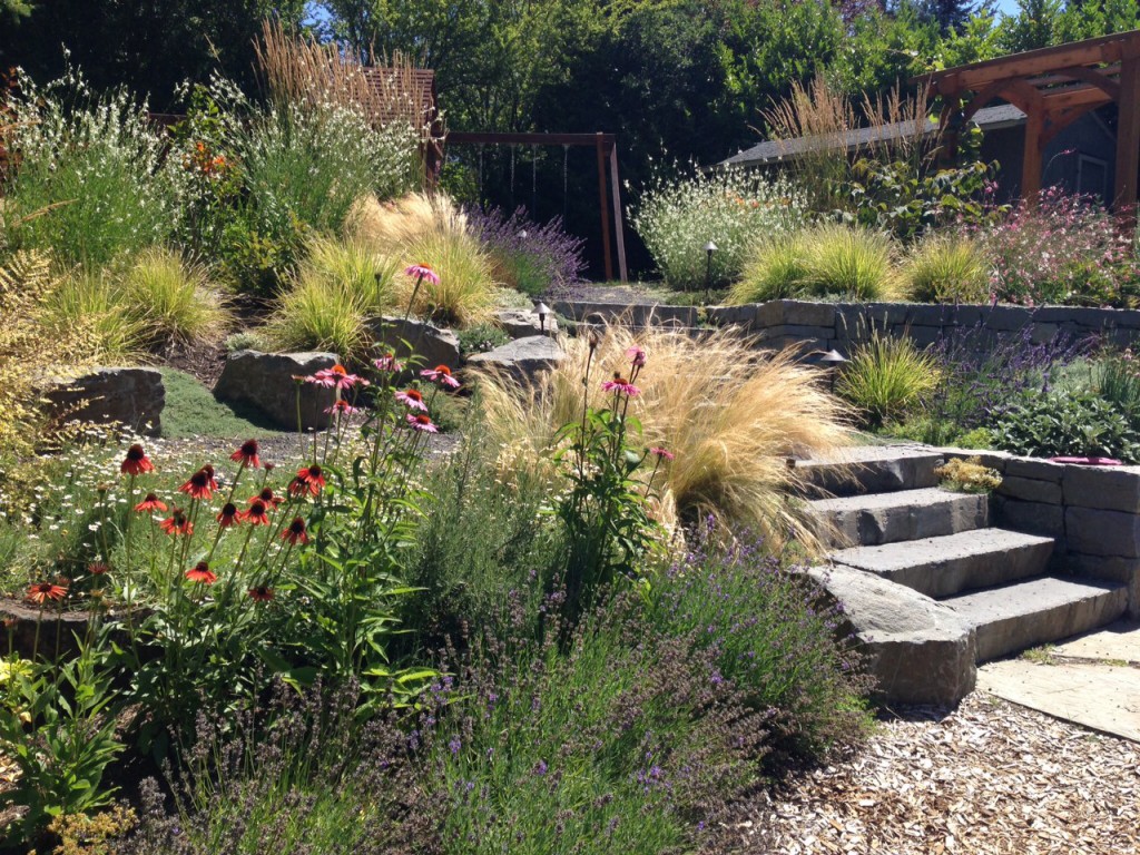 NW Portland Audubon Certified Backyard Habitat * TFGs