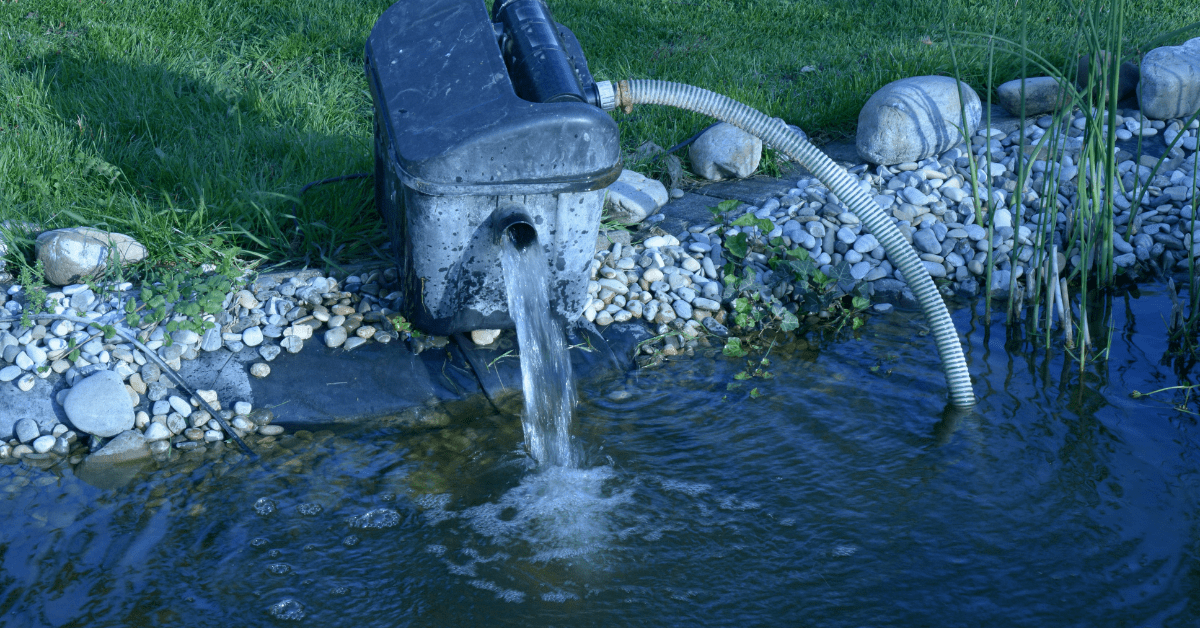 7 Best Pond Pumps in Depth Review 2024 Update