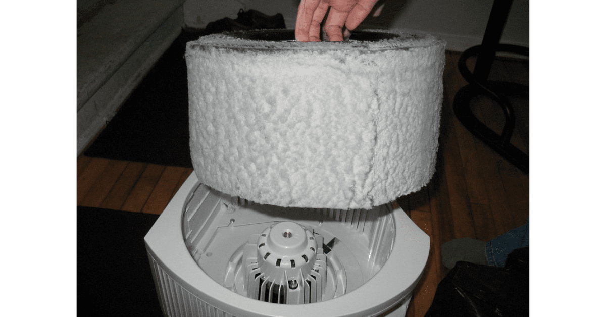 How To Clean Dyson Air Purifier Filter? 2023 6 Helpful Tips