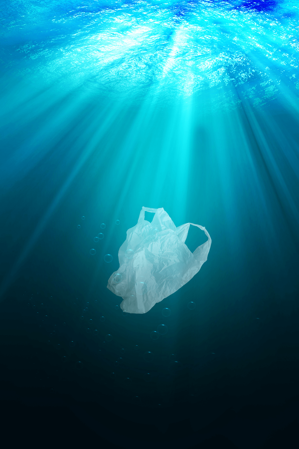 Biodegradable vs. Compostable What’s the Difference? The Filtery