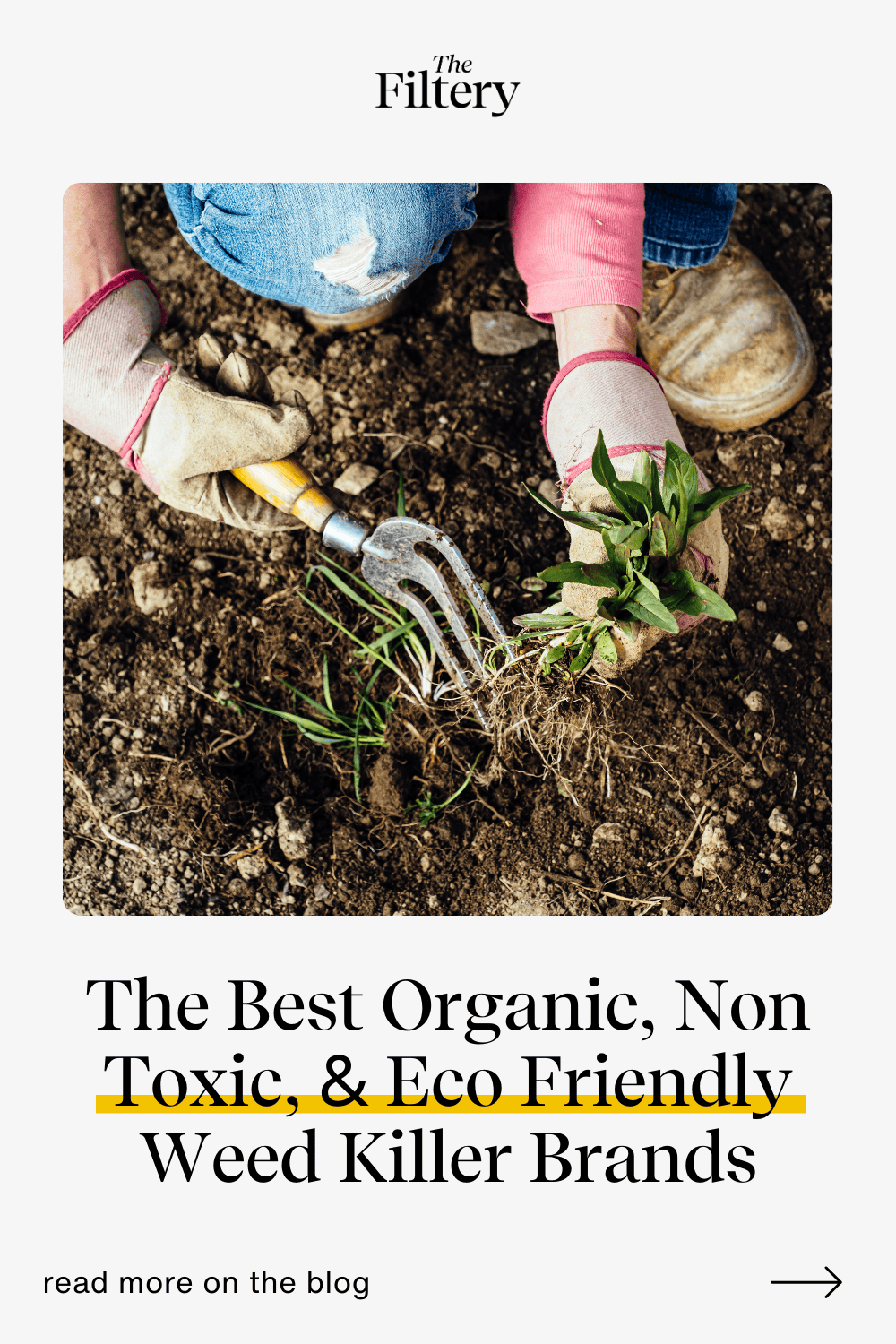 Best Non-Toxic Weed Killers: Organic, Eco-Friendly, & Safe