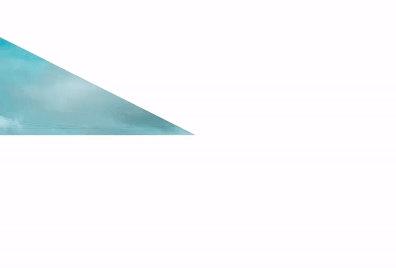 View From My Window The Final Shot