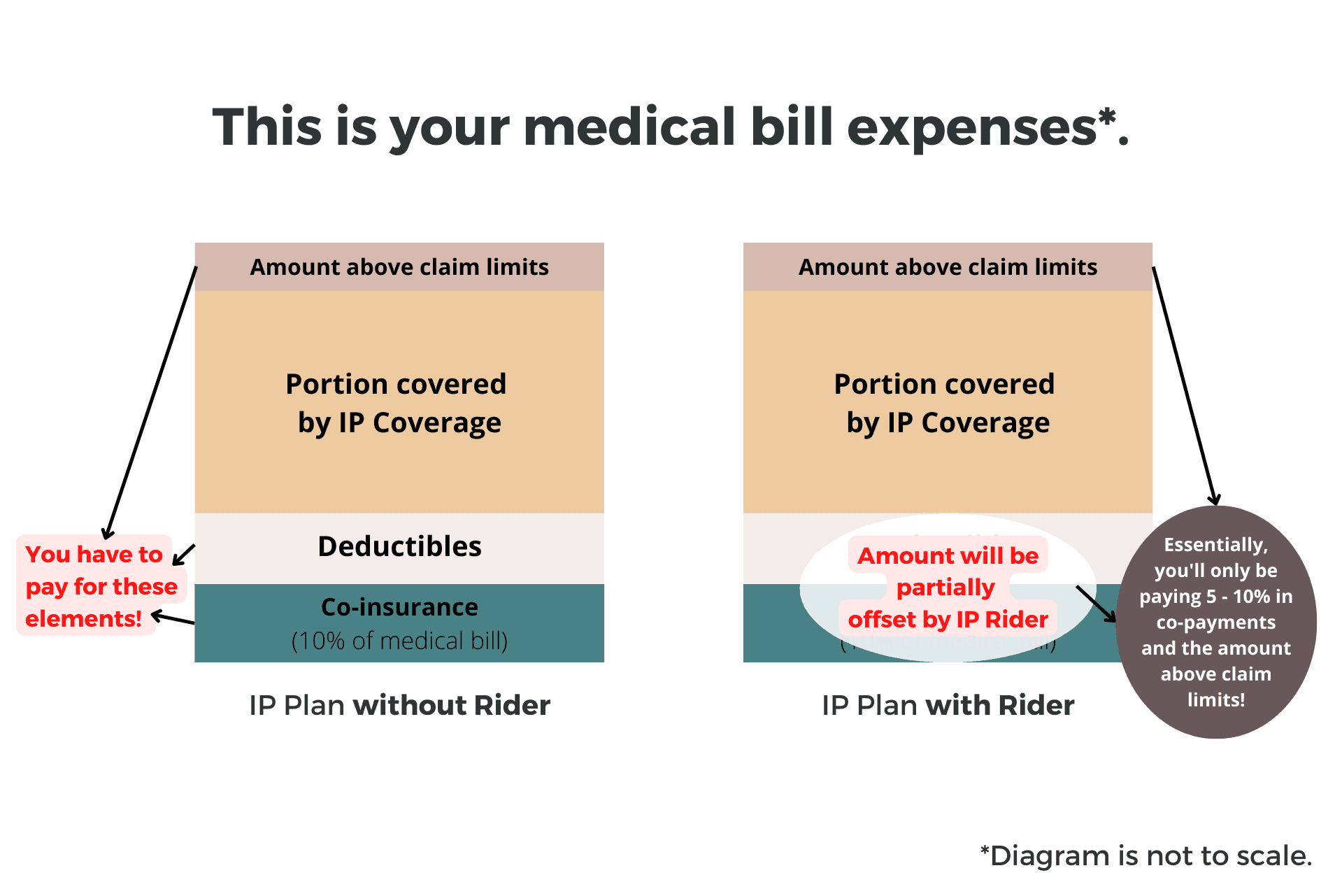 Integrated Shield Plan Riders What Are They and Which Is Best?