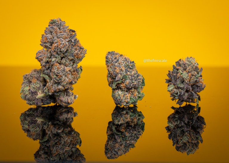 The Doggy Bagg by Cookies x Snoop Dogg x Grandiflora The Fire Scale