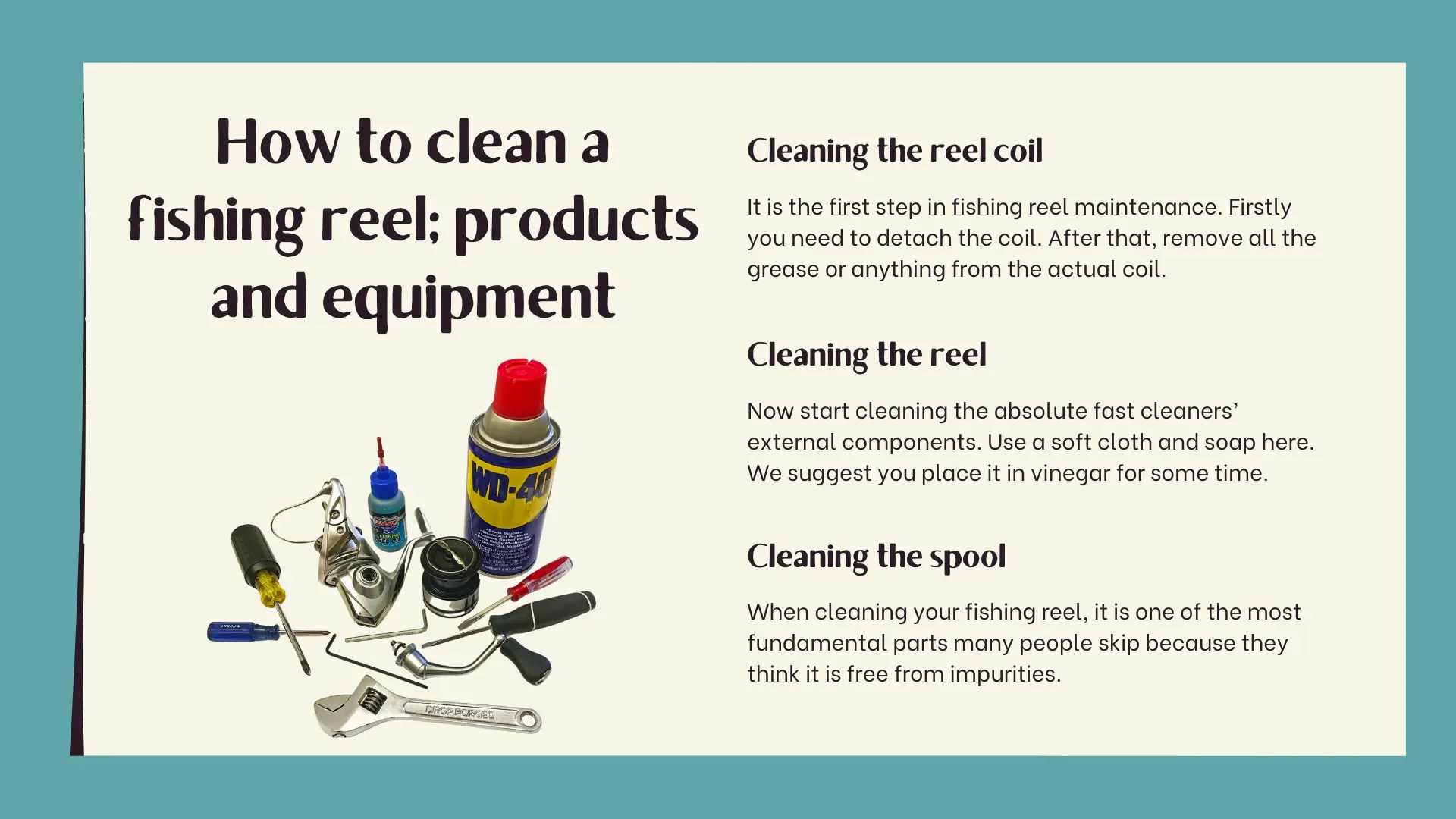 How to Clean Fishing Reels? Useful Tips TheFisherCast