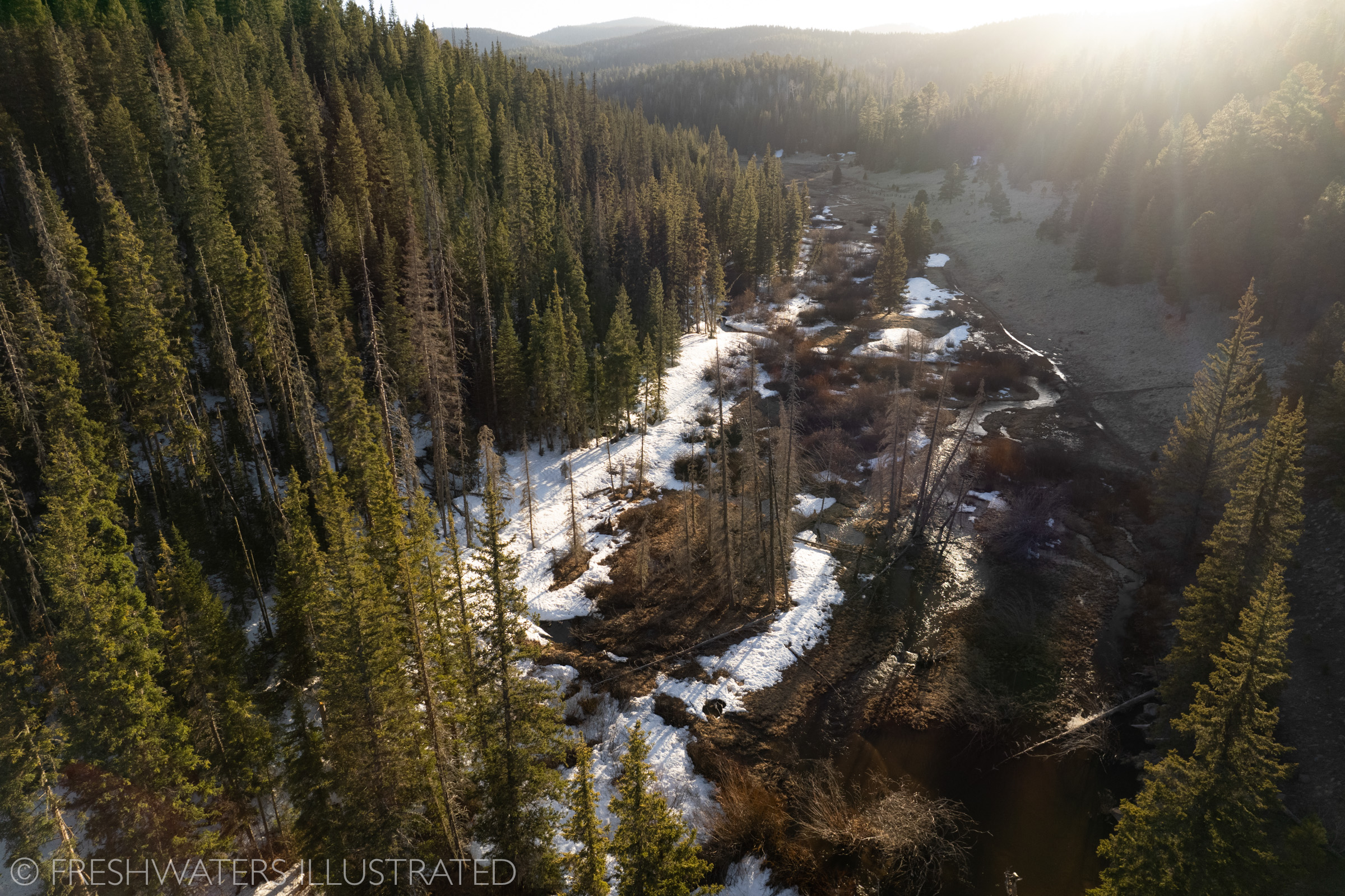 Casting to a Fly Rod to Apache Trout is a Testament to Perseverance