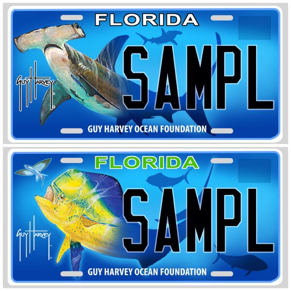 The best (and worst) specialty license plates for fish lovers The